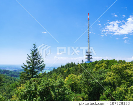 radio tower near Ihringen radio tower near Ihringen 107529333