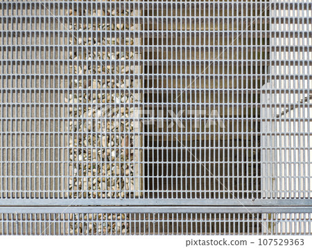 walk ground metal grid 107529363