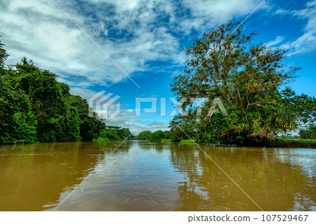 Landscape of beautiful channel, Refugio de Vida Silvestre Cano Negro, Costa Rica wilderness landscape. Landscape of beautiful channel, Refugio de Vida Silvestre Cano Negro, Costa Rica wilderness landscape. 107529467