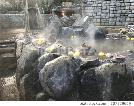 Nature Landscape Animal Day 107529669