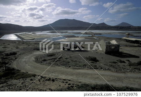 AFRICA CAPE VERDE SAL SALT MINES 107529976