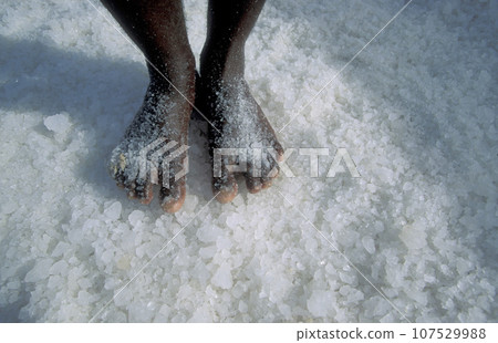 AFRICA CAPE VERDE SAL SALT MINES AFRICA CAPE VERDE SAL SALT MINES 107529988