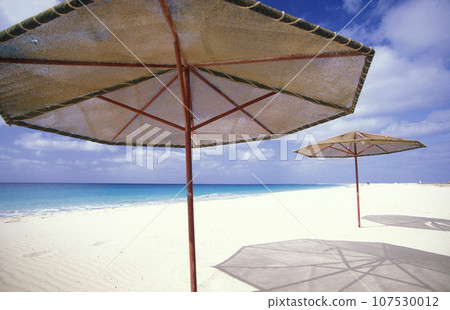 AFRICA CAPE VERDE SAL SANTA MARIA 107530012