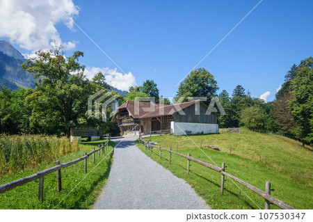 idyllic farmhouse in the swiss alps 107530347