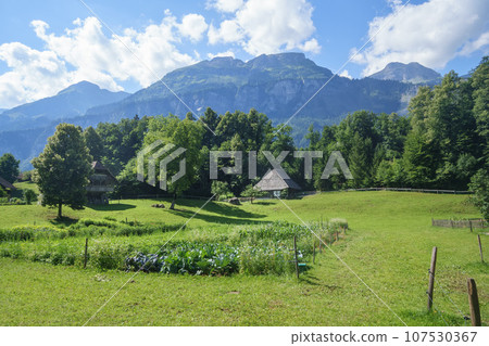 idyllic scenery in Switzerland Alps with wooden farm houses idyllic scenery in Switzerland Alps with wooden farm houses 107530367