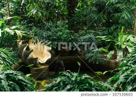 decorative fountain in the reservoir of the paludarium with ferns 107530603
