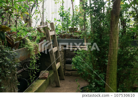 interior of a large greenhouse with a collection of tropical plants ang equipment 107530610