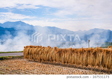 秋天的襯裡和秸稈燃燒的景色 107531173