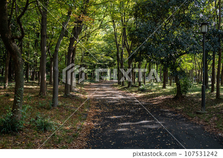 大阪城的森林 大阪城的森林 107531242