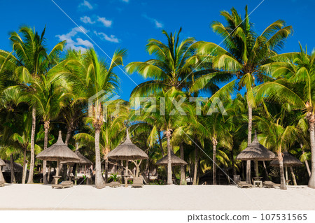 View of tropical beach with chairs and umbrellas, palms and blue sky View of tropical beach with chairs and umbrellas, palms and blue sky 107531565