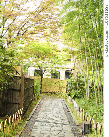 綠樹環繞的山間溪流（修善寺） 107531658