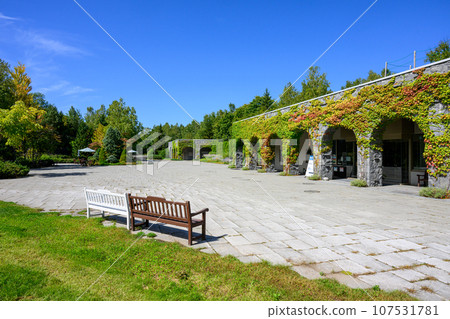 Bench and blue sky (Takino Suzuran Park)_4571 Bench and blue sky (Takino Suzuran Park)_4571 107531781