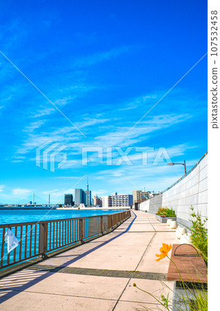 10月流經東京葛飾區奧戶的中川沿岸風景 107532458