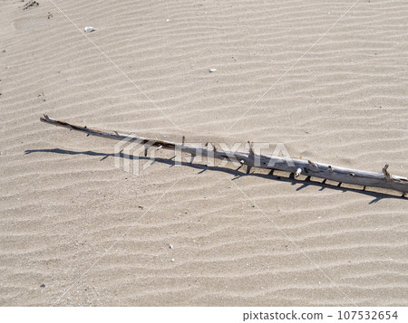 Driftwood and a sandy beach with wind patterns. 107532654