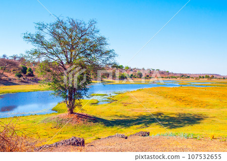 Landscape at Chobe River in Caprivi strip. Namibia, Africa Landscape at Chobe River in Caprivi strip. Namibia, Africa 107532655