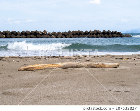 漂流木在沙灘上。 107532827