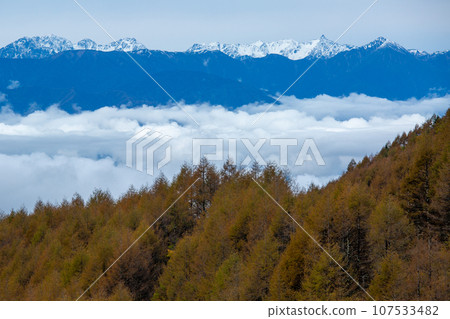 從霧峰看到的雲海、落葉鬆的黃色葉子和白雪皚皚的矢裡穗高山脈 107533482