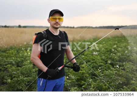 Farmer in protective glasses and gloves with mist sprayer treats potato plantation from pests, colorado beetle and fungus infection and looks at camera. Harvest processing. Protection and care harvest Farmer in protective glasses and gloves with mist sprayer treats potato plantation from pests, colorado beetle and fungus infection and looks at camera. Harvest processing. Protection and care harvest 107533964