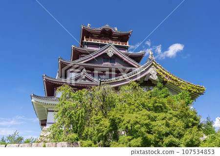伏見桃山城，大型天守閣，夏天（京都府京都市伏見區） 107534853