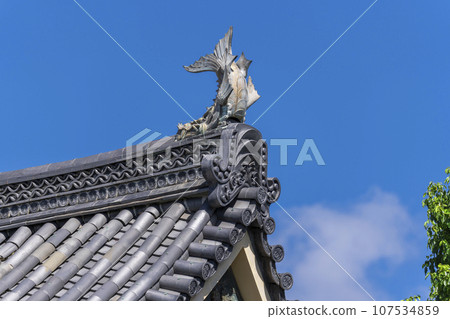伏見桃山城鯷馱夏天(京都府京都市伏見區) 伏見桃山城鯷馱夏天(京都府京都市伏見區) 107534859