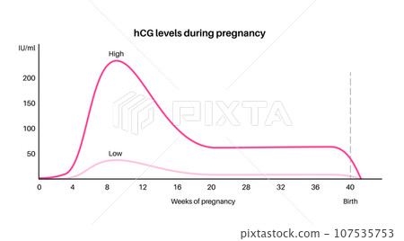 Hormones in pregnancy 107535753