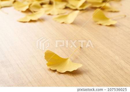yellow ginkgo leaves on the table yellow ginkgo leaves on the table 107536025