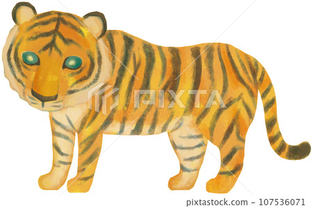 Tiger Year of the Tiger Character 107536071