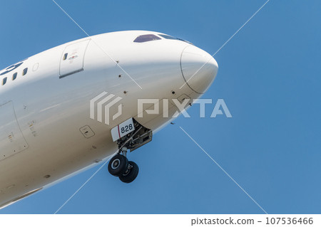 [日航飛機準備從城南島海濱公園上空降落] 107536466