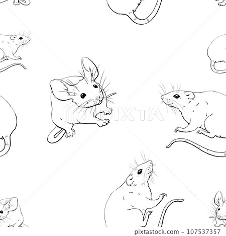 Mice, rats, rodents. Seamless pattern with graphic monochrome illustration. For printing wallpaper, fabric, packaging paper for pet stores, pet products and other products. Domestic and wild rodents. 107537357