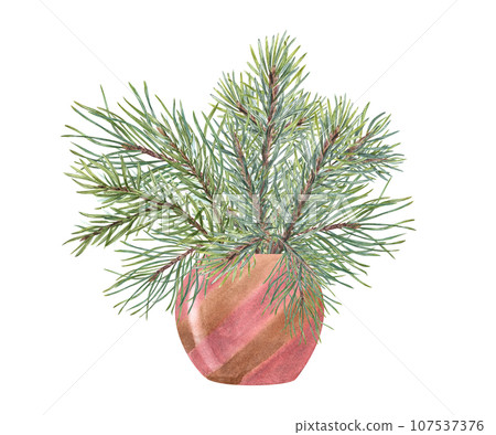 Bouquet of Christmas Pine, spruce branch. Cedar, conifer branches. Evergreen plant. Watercolor illustration of green lush sprig. For winter postcard design, Xmas and New Year cards Bouquet of Christmas Pine, spruce branch. Cedar, conifer branches. Evergreen plant. Watercolor illustration of green lush sprig. For winter postcard design, Xmas and New Year cards 107537376