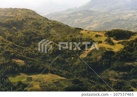 Summer Evening Mountain Landscape in Highlands of Serbia 107537465