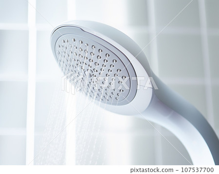 淋浴頭 107537700
