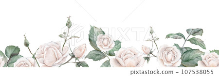 Watercolor white tea rose seamless border. hand drawing illustration , isolated white background, flower clipart. for design wedding invitations, anniversary, birthday, postcards, greetings 107538055