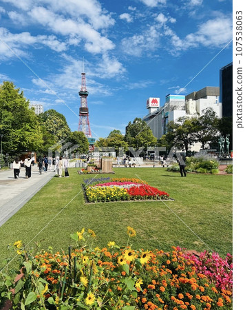 北海道札幌大通公園美麗藍天下的花壇與電視塔 107538063
