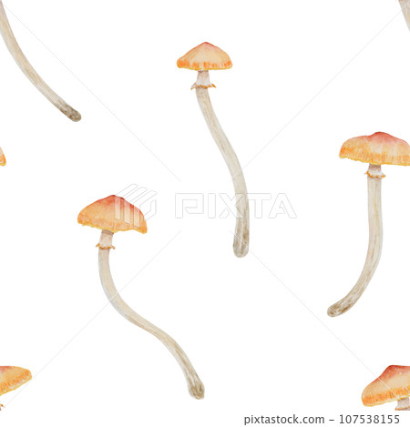 Watercolor hand drawn seamless pattern of mushrooms summer honey fungus. Galerina marginata illustration, forest toadstool clip art for for packing eco goods, gifts, paper, background, textiles, print 107538155