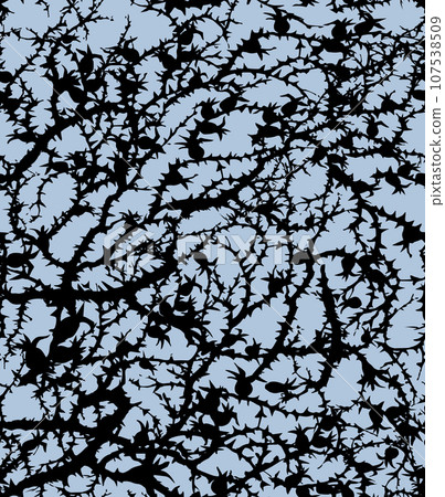 Branches of Blackthorn. Vector drawing Branches of Blackthorn. Vector drawing 107538509