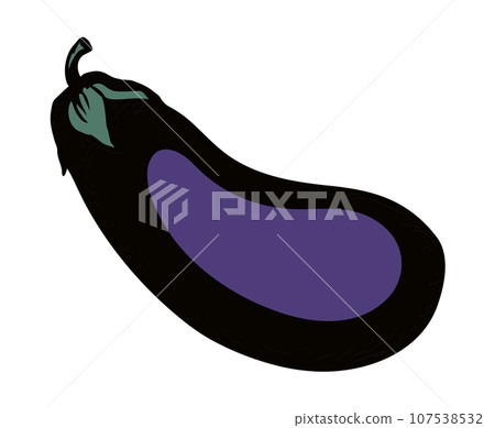 Ripe eggplant. Vector drawing icon Ripe eggplant. Vector drawing icon 107538532