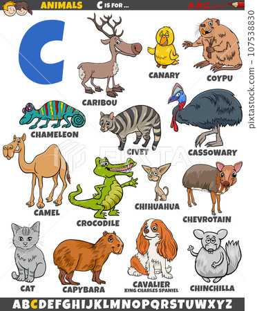 cartoon animal characters for letter C educational set 107538830