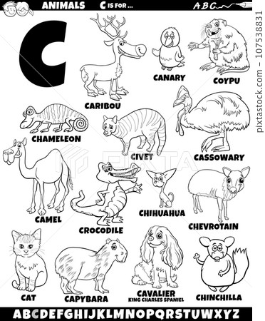 cartoon animal characters for letter C set coloring page 107538831