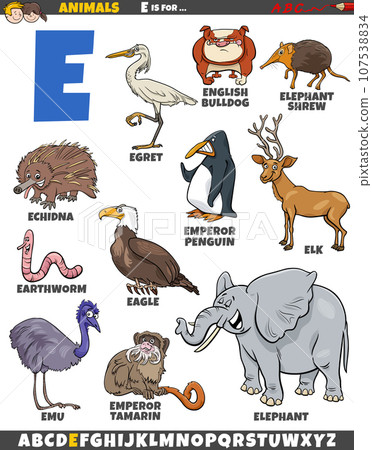 cartoon animal characters for letter E educational set 107538834