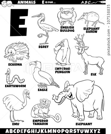 cartoon animal characters for letter E set coloring page 107538835