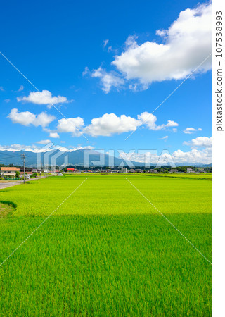 稻田和淺間山[佐久市根岸] 107538993