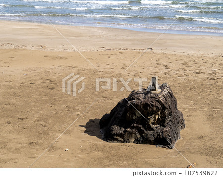 Nambae Beach (Nambae, Takahama-cho, Oi-gun, Fukui Prefecture). Landscape of sandy beach and rocks. 107539622