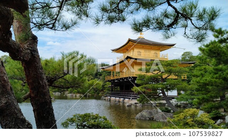 金閣寺 107539827