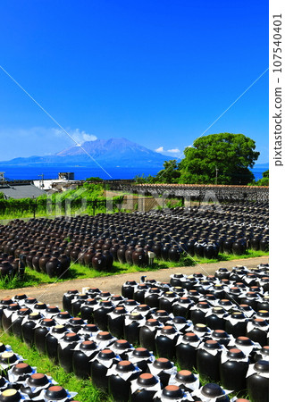 [Kagoshima] Sunny Tsubobata and Sakurajima 107540401