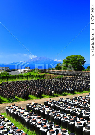 [Kagoshima] Sunny Tsubobata and Sakurajima 107540402
