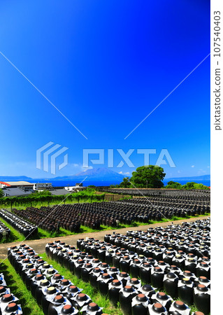 [Kagoshima] Sunny Tsubobata and Sakurajima 107540403