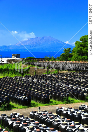 [Kagoshima] Sunny Tsubobata and Sakurajima 107540407