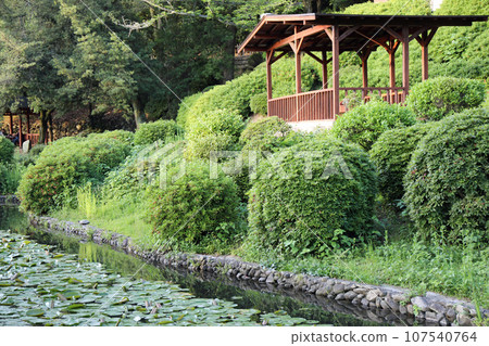 春天探索道後公園 春天探索道後公園 107540764
