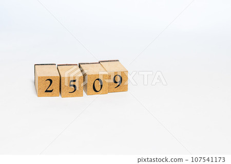 Wooden block number 2509 Wooden block number 2509 107541173